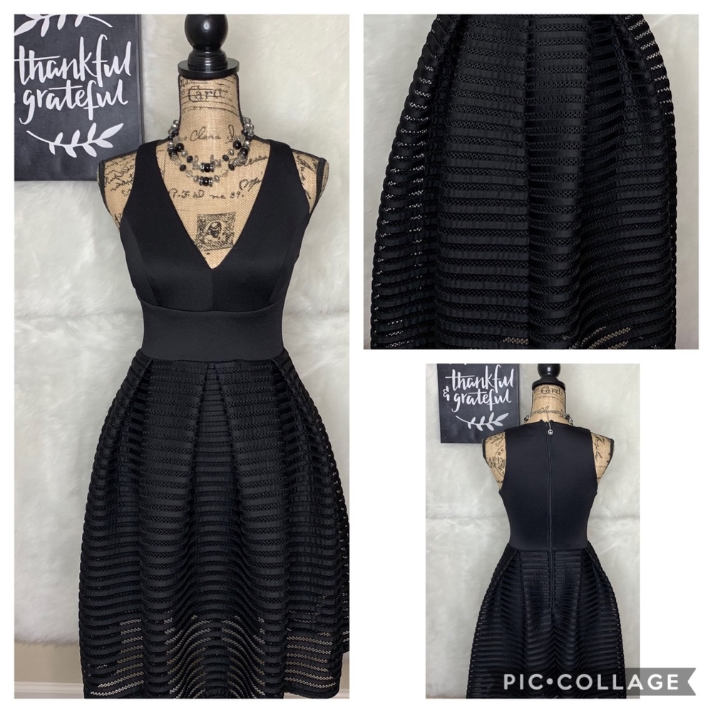 Bisou Bisou Fit and Flare Dress
